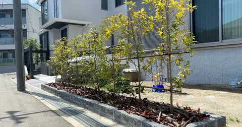 兵庫県の芝・植栽の施工事例