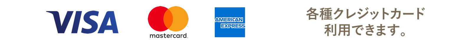 各種クレジットカード(VISA・MasterCard・American Express)利用できます